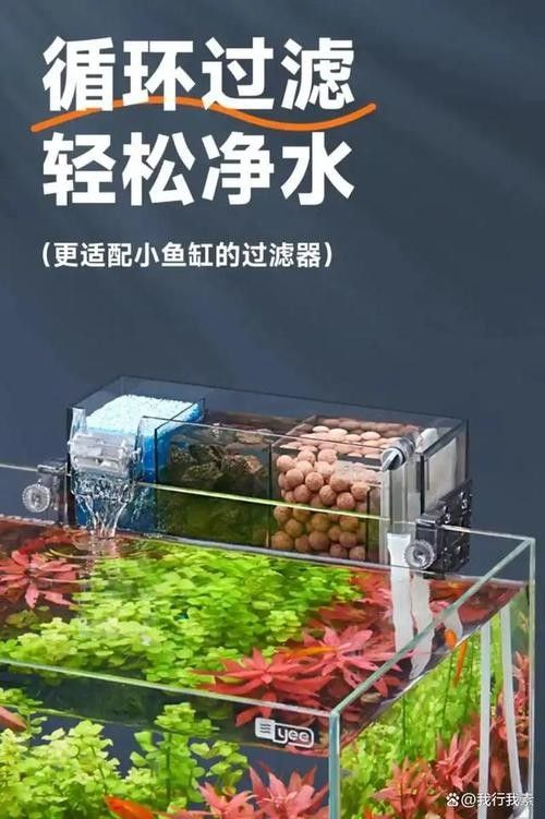 龍魚缸濾材最佳搭配圖片