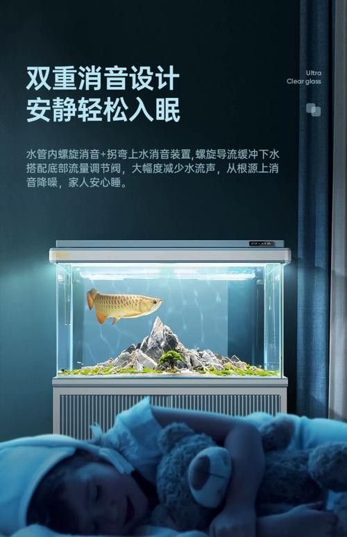 龍魚缸濾材最佳搭配圖片