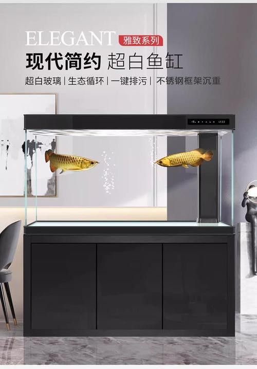 龍魚缸濾材最佳搭配圖片