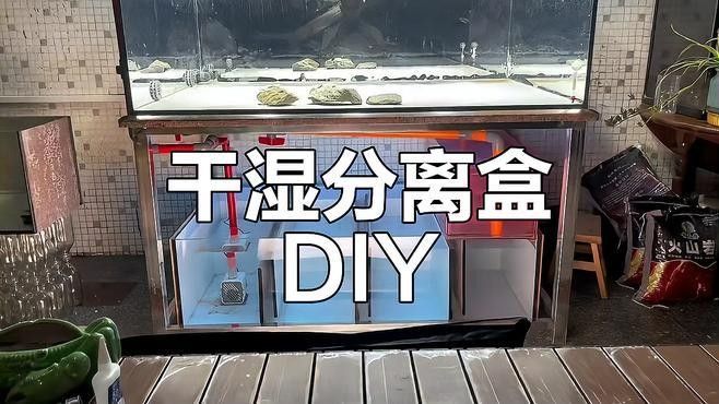 龍魚缸濾材最佳搭配圖片
