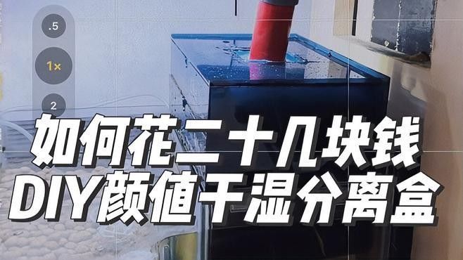 龍魚缸濾材最佳搭配圖片
