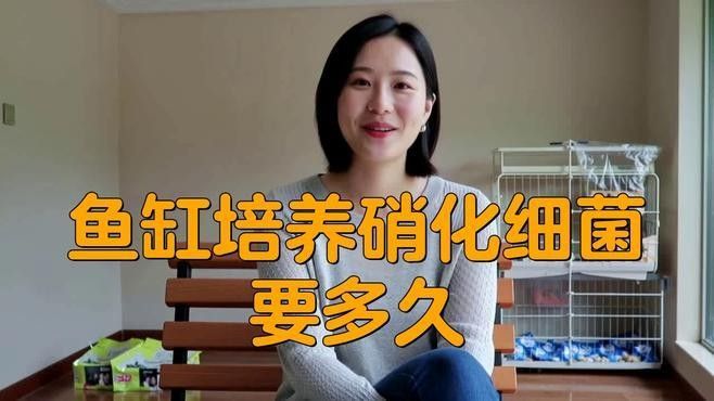 龍魚缸濾材最佳搭配圖片
