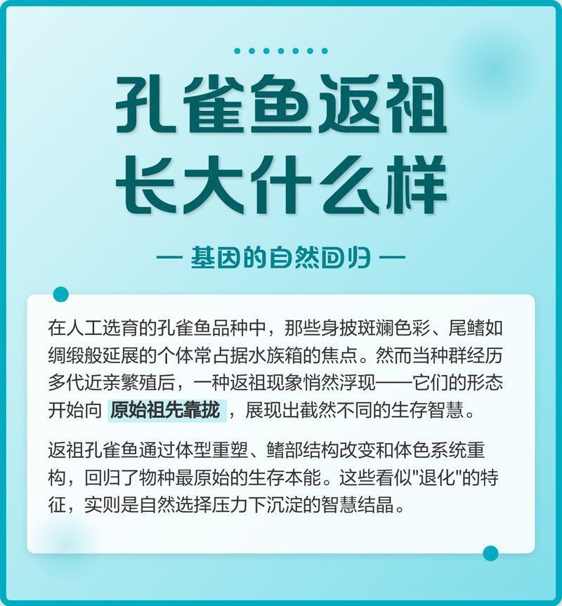 孔雀魚返祖長大什么樣