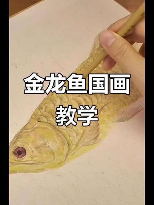 金龍魚魚鱗畫法圖片