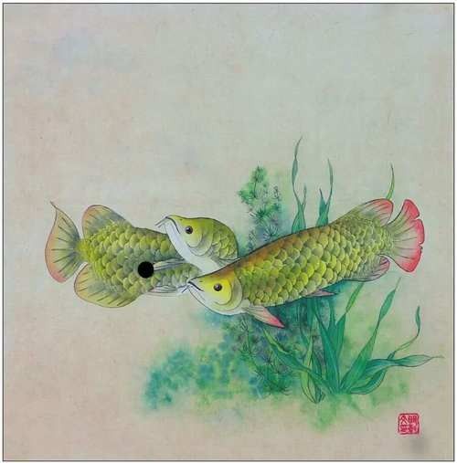 金龍魚魚鱗畫法圖片