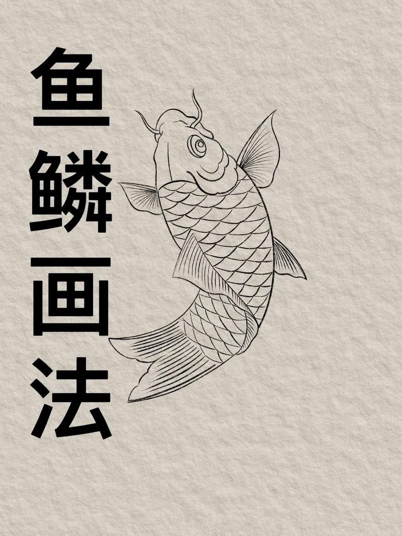 金龍魚魚鱗畫法圖片