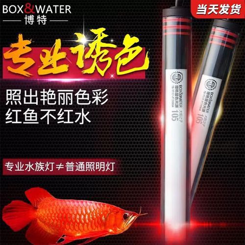 紅龍魚用什么燈管