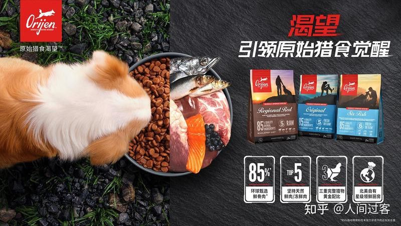 金龍魚在哪些電商平臺有官方旗艦店？