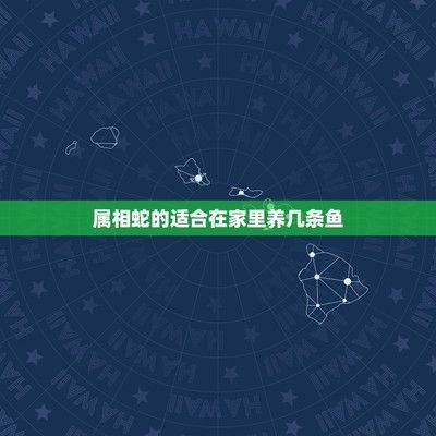 紅龍魚在哪里買便宜點的（哪里可以買到便宜又好的紅龍魚）