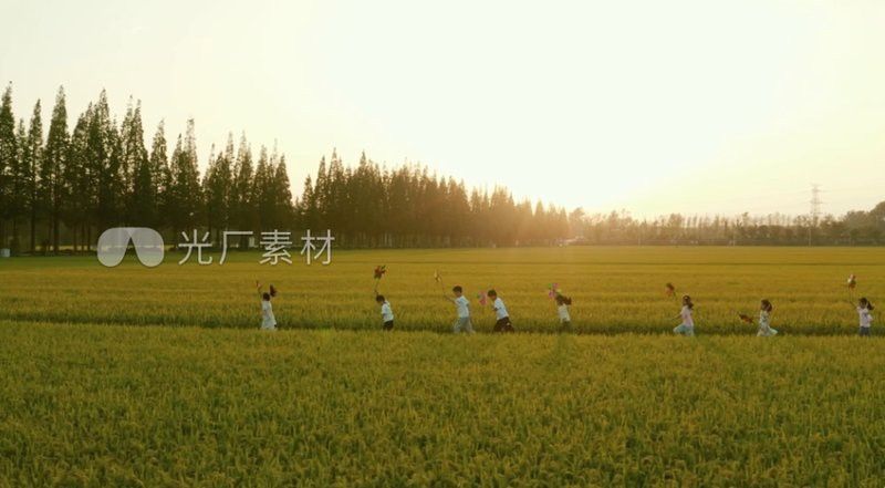 光廠視頻素材的免費試用政策如何？