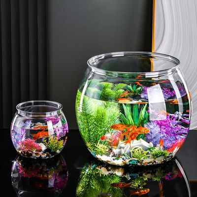 怎么挑龍魚