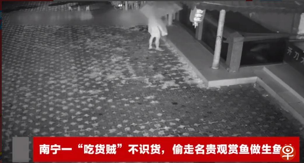 大紅龍魚好吃嗎