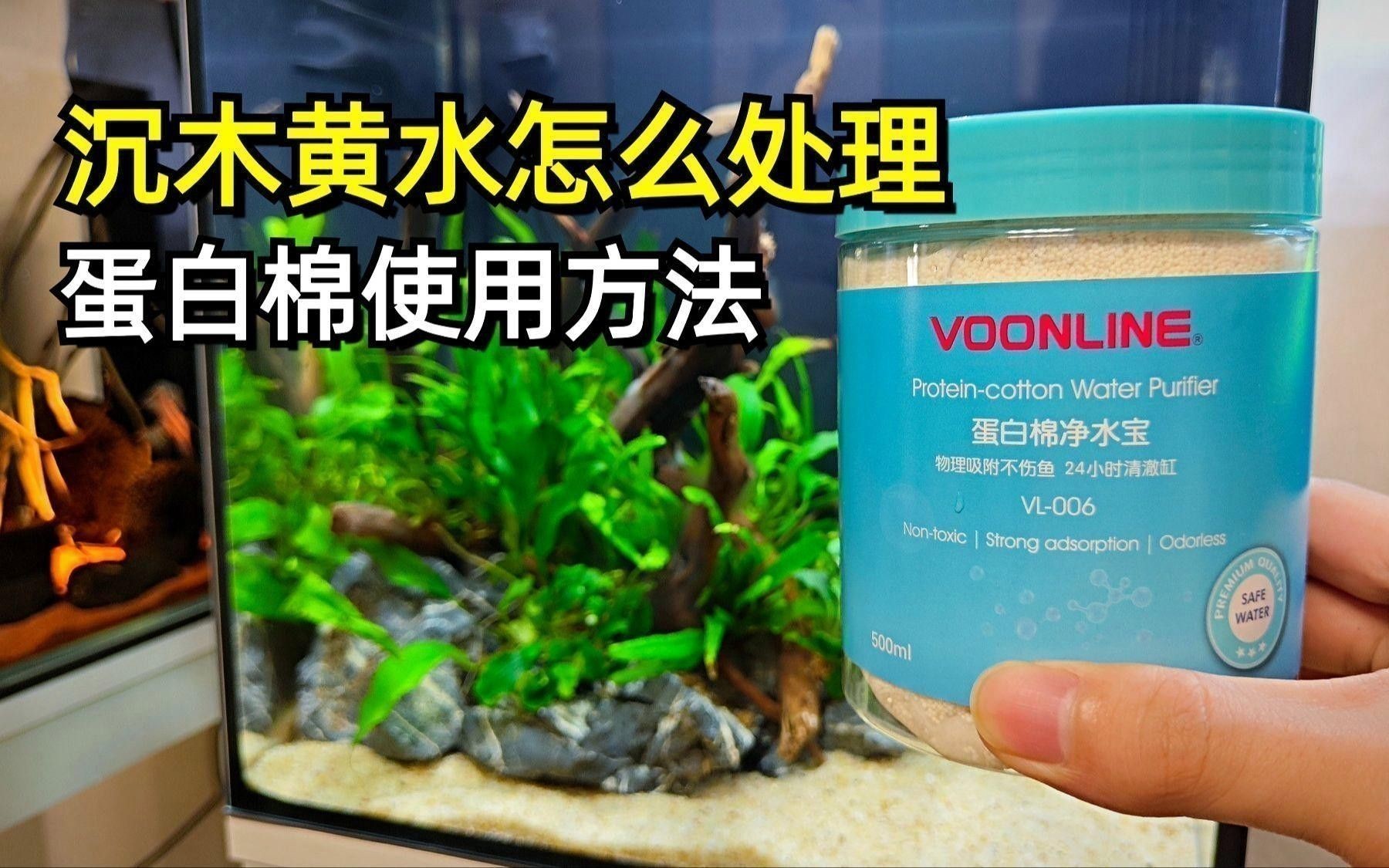 沉木需要多久清洗一次