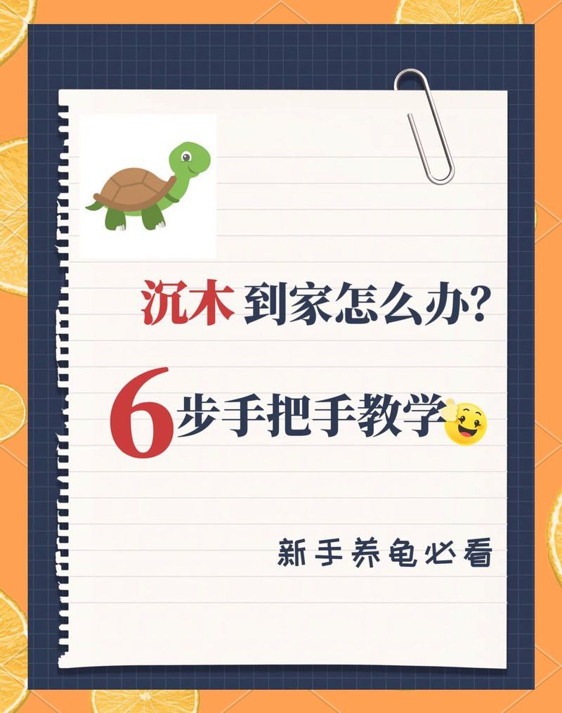 沉木需要多久清洗一次