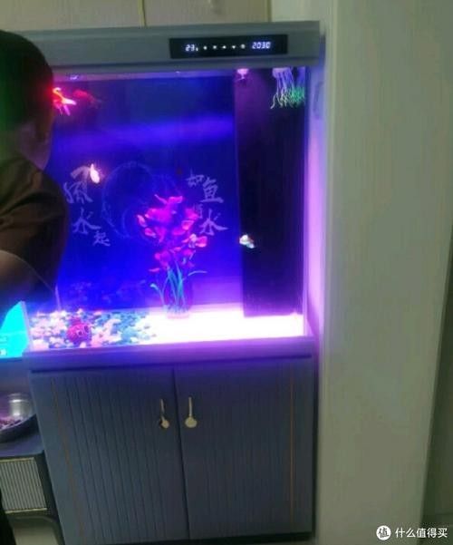 龍魚魚缸哪個品牌好一點(diǎn)的