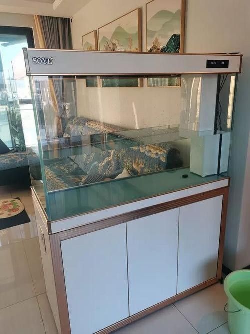 龍魚魚缸哪個品牌好一點(diǎn)的