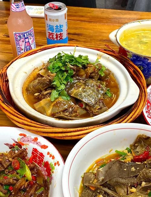 上饒龍魚專賣店