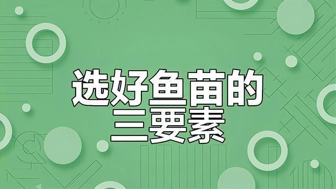 如何判斷桂魚苗的質量？