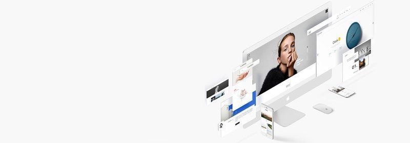 龍魚網絡交易平臺