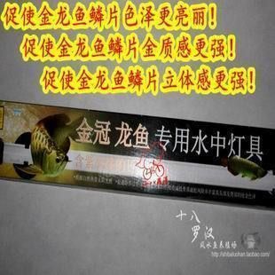 適合龍魚的魚缸尺寸是多少：適合龍魚的魚缸尺寸
