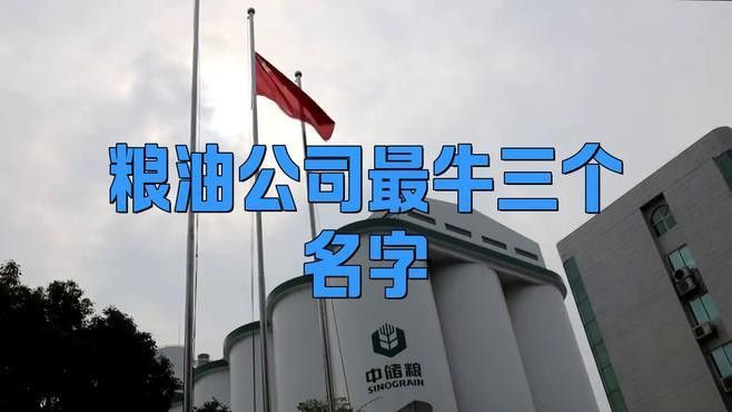 金龍魚和中糧集團(tuán)的<strong><mark>合作</mark></strong>未來有何計(jì)劃？