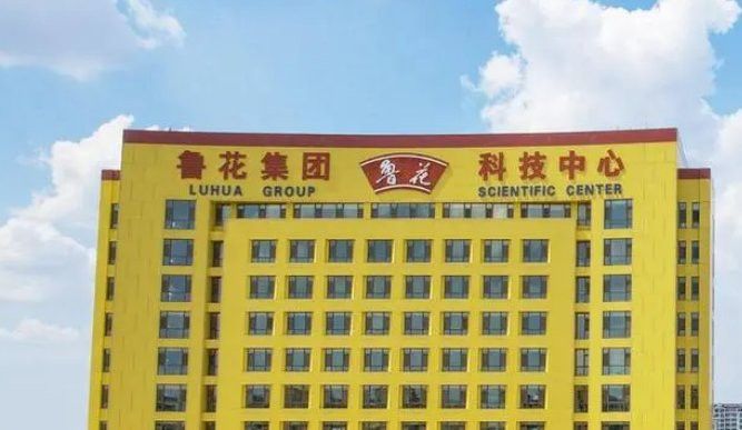 金龍魚和中糧集團的合作未來有何計劃？