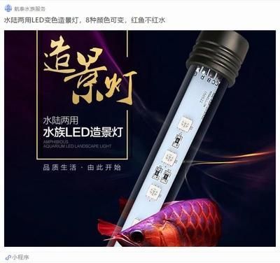 龍魚用led能發色嗎視頻：led燈對龍魚的發色有一定的作用