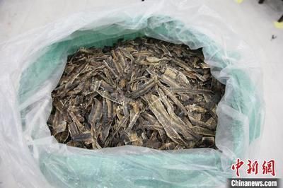 干的海龍魚怎么吃（干的海龍魚干怎么吃海龍魚干怎么吃360問答）