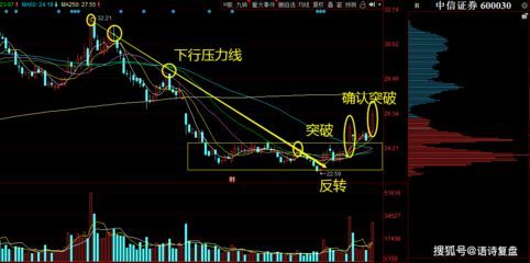 金龍魚技術(shù)分析：金龍魚的技術(shù)分析