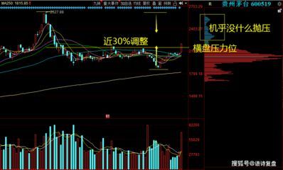 金龍魚技術(shù)分析：金龍魚的技術(shù)分析