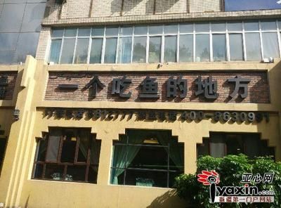 小龍魚吃魚嗎？怎么喂好？：小龍魚會吃魚嗎喂養(yǎng)小龍魚時需要注意哪些事項