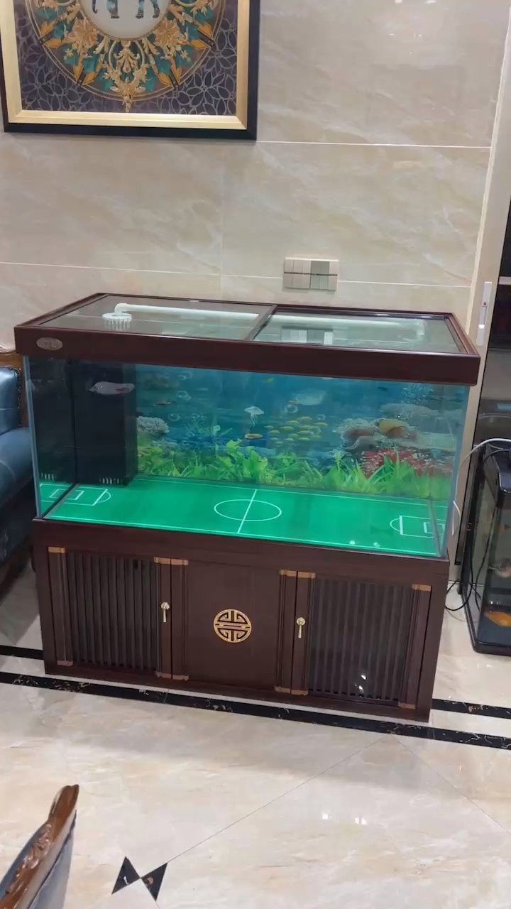 匯龍魚缸怎么樣