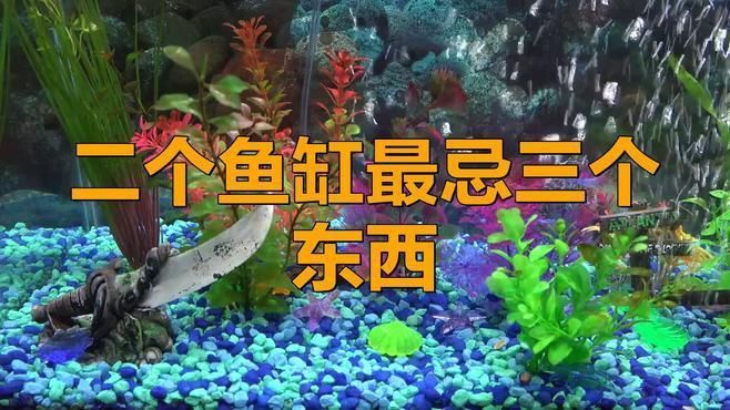 馬印魚缸最忌三種東西