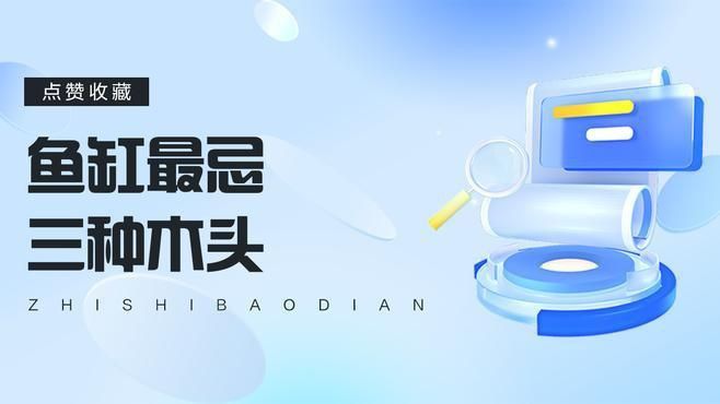 馬印魚缸最忌三種東西