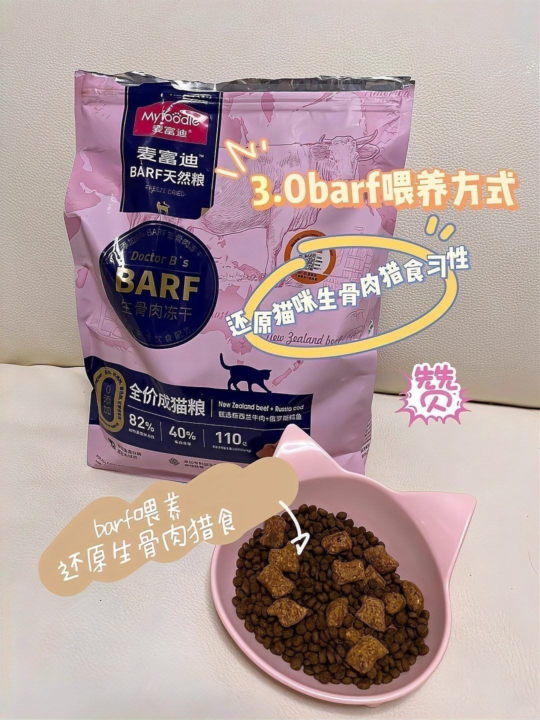 如何訓(xùn)練龍魚和貓和平共處？