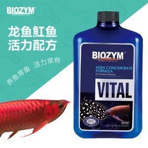 龍魚水霉病藥物治療方法：龍魚水霉病的治療需要綜合考慮藥物治療和飼養管理等多個方面