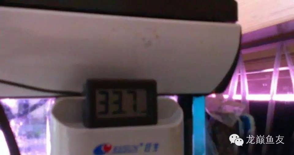 金龍魚缸換水的正確方法是什么，金龍魚缸換水的正確方法