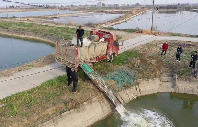 大湖漁場的服務(wù)范圍包括哪些地區(qū)？