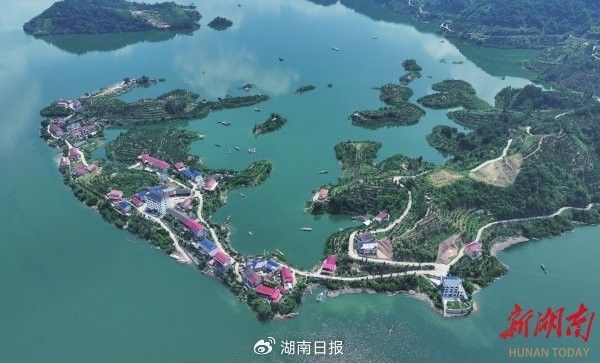 大湖漁場的服務(wù)范圍包括哪些地區(qū)？
