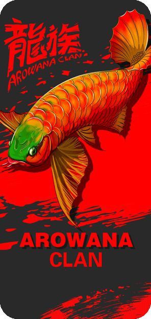 龍魚論壇app官方最新版介紹