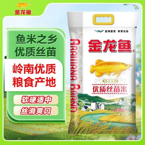 金龍魚絲苗米哪款好吃