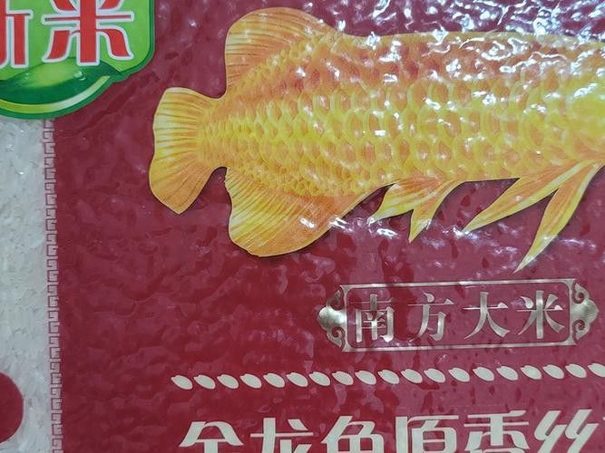 金龍魚絲苗米哪款好吃