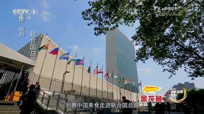 金龍魚有什么說法：金龍魚養殖技巧,金龍魚與傳統文化的關系