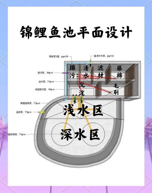 如何預防龍鳳錦鯉常見疾病？ 如何預防龍鳳錦鯉常見疾病？ 龍魚百科 第2張