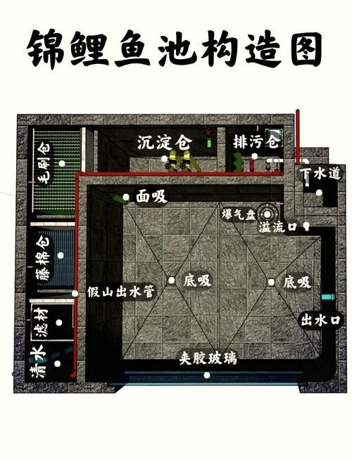 如何預防龍鳳錦鯉常見疾病？ 如何預防龍鳳錦鯉常見疾病？ 龍魚百科 第5張