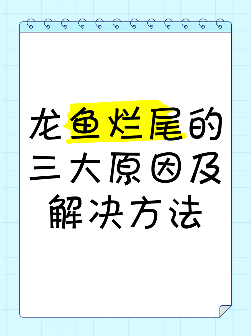 如何預防龍魚爛尾感染？