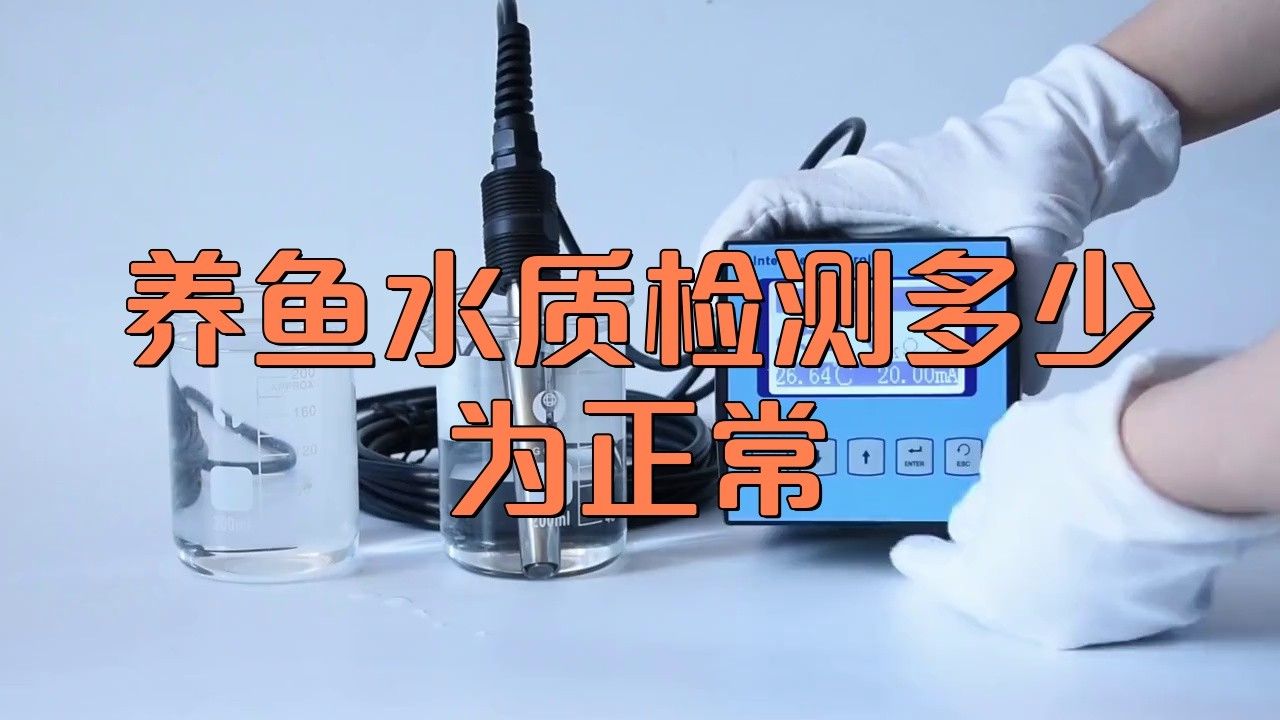 如何檢測水質是否適合補養新魚？