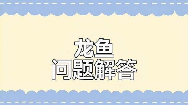 銀龍魚翻鰓癥能否完全治愈？