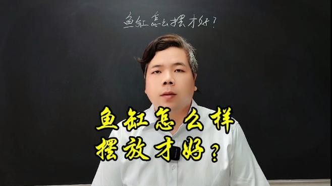 屬龍人養(yǎng)魚的最佳方位在哪里？