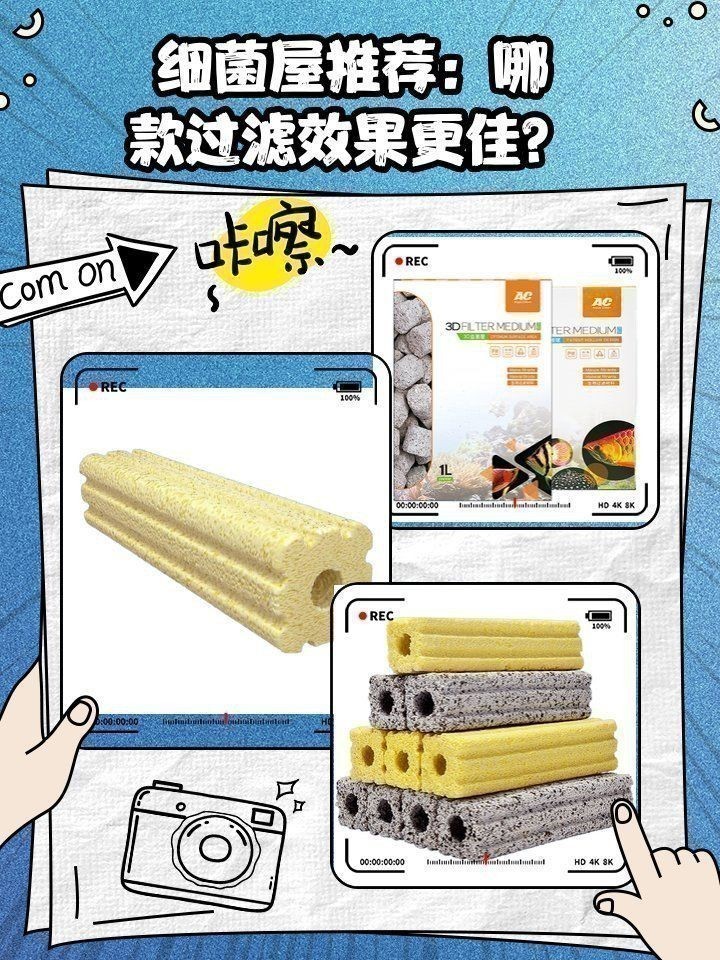 哪些品牌細(xì)菌屋性價(jià)比最高? 龍魚百科 第1張 哪些品牌細(xì)菌屋性價(jià)比最高? 哪些品牌細(xì)菌屋性價(jià)比最高? 龍魚百科 第1張